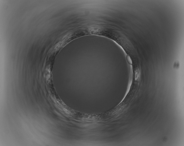 X0000111121011200907211045