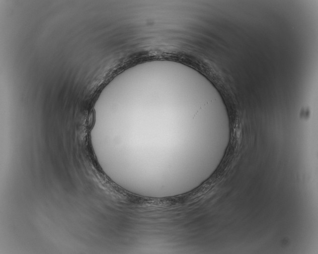 X0000111121012200907211045