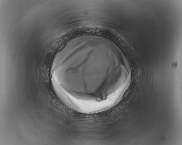 X0000111121013200907211045