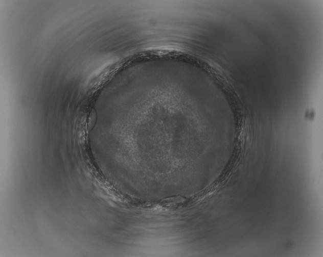 X0000111121014200907211045