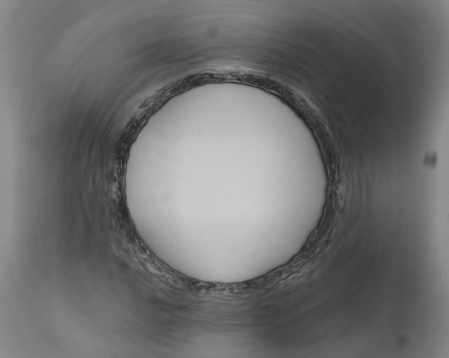 X0000111121016200907211045