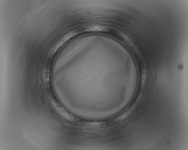 X0000111121017200907211045