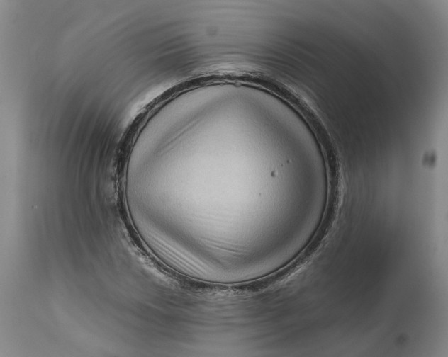 X0000111121018200907211045