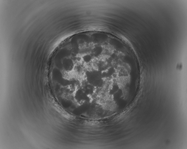 X0000111121019200907211045