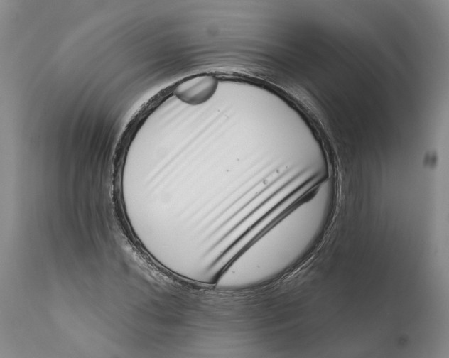 X0000111121020200907211045