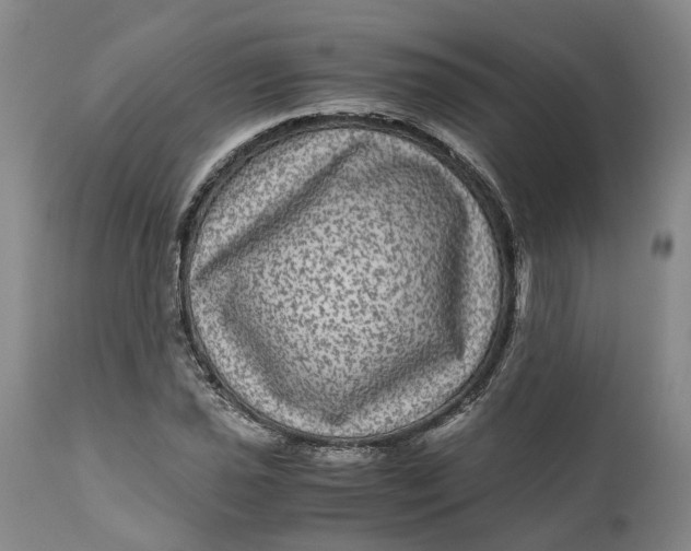 X0000111121021200907211045