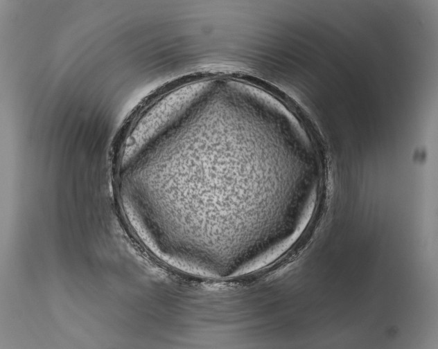 X0000111121022200907211045