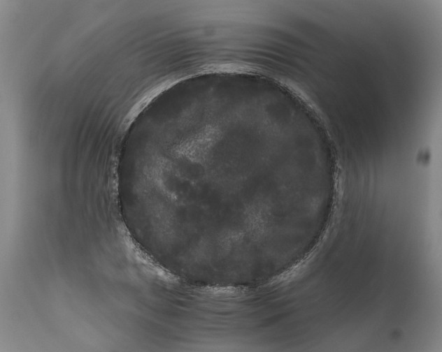 X0000111121025200907211045