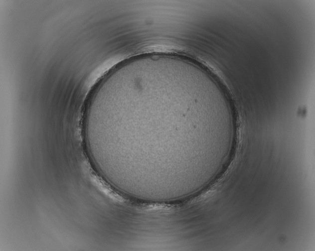 X0000111121026200907211045