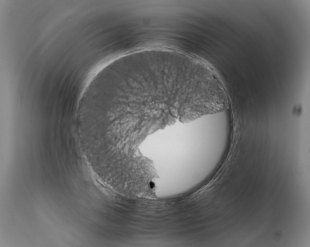 X0000111121027200907211045