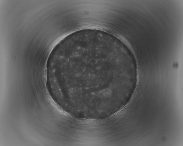 X0000111121028200907211045