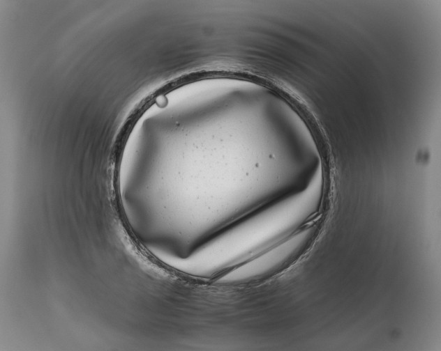 X0000111121029200907211045