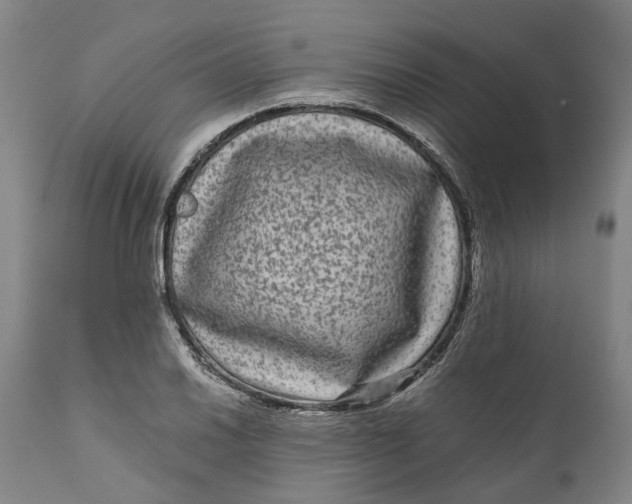 X0000111121030200907211045