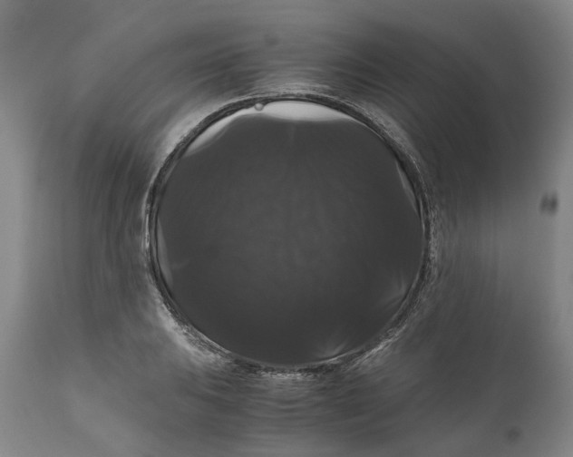 X0000111121031200907211045