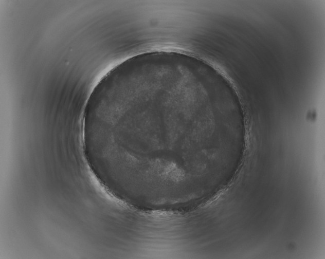 X0000111121032200907211045