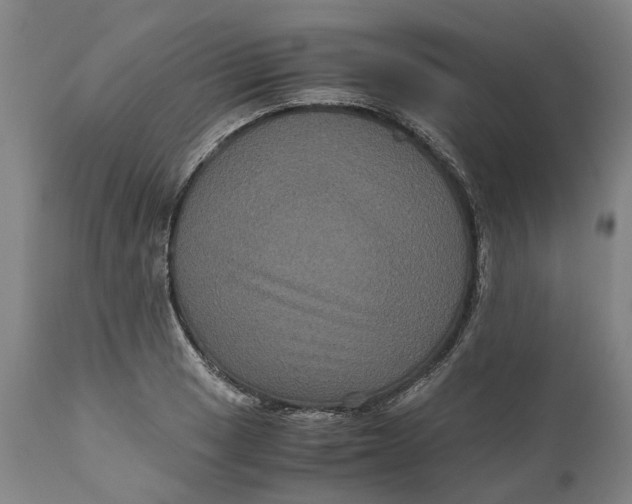 X0000111121033200907211045