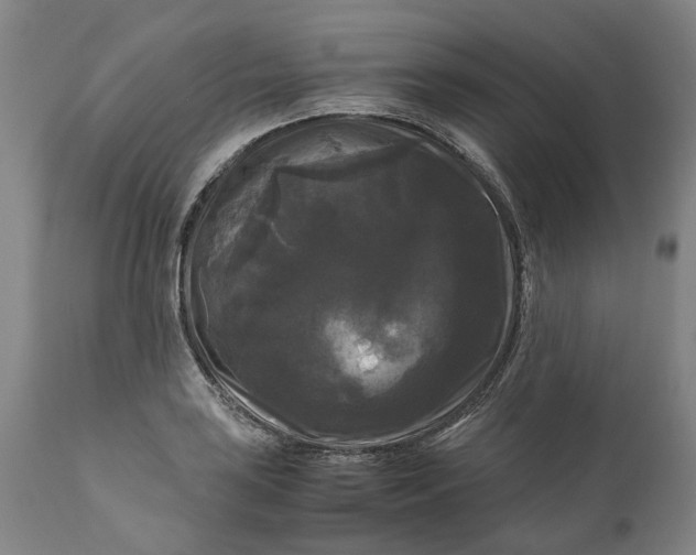 X0000111121035200907211045