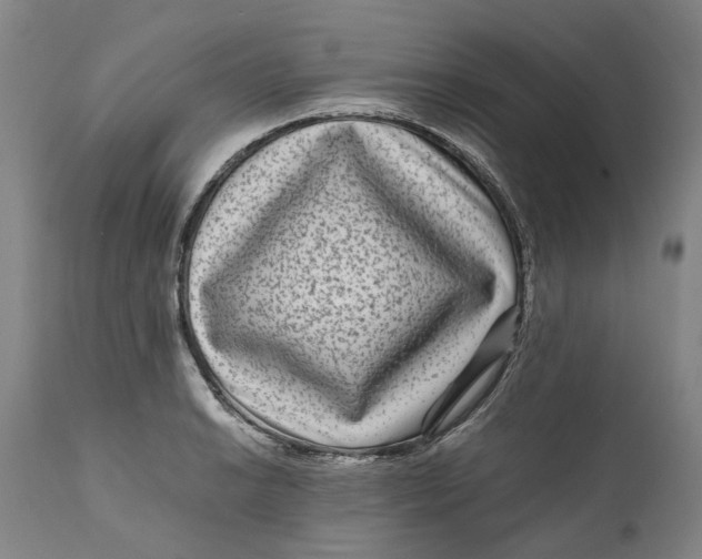 X0000111121038200907211045