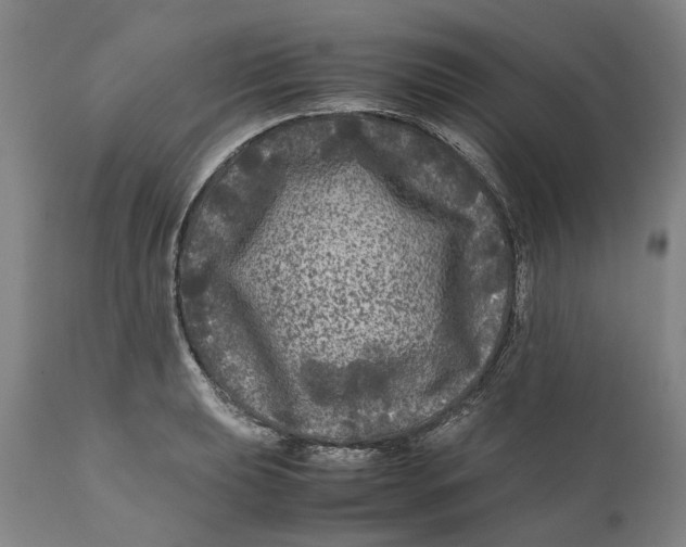 X0000111121039200907211045