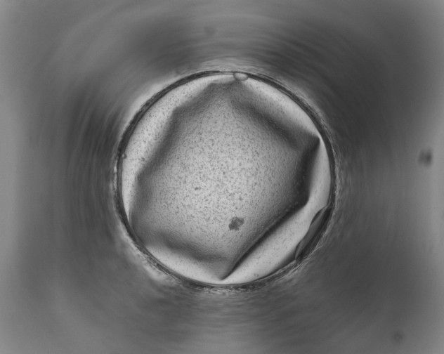 X0000111121040200907211045