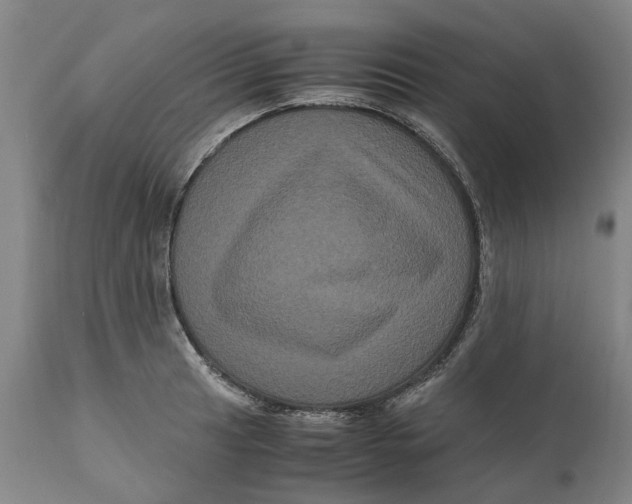 X0000111121041200907211045