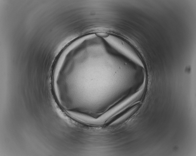 X0000111121042200907211045