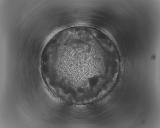 X0000111121043200907211046