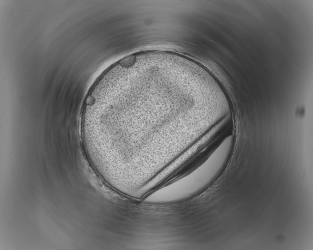 X0000111121044200907211046