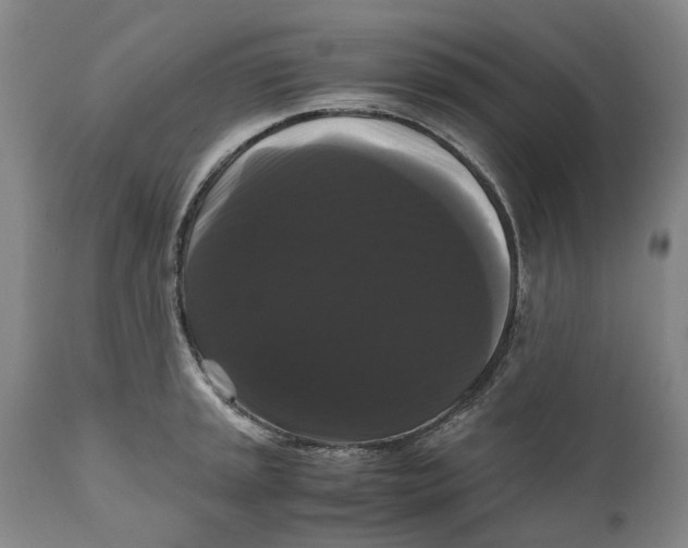 X0000111121045200907211046