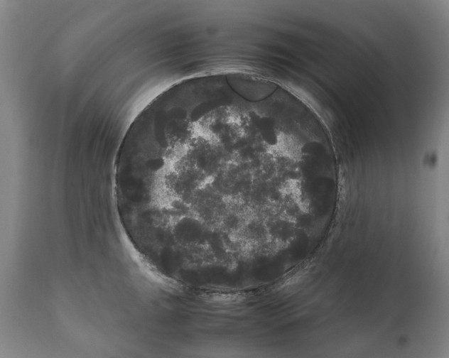 X0000111121047200907211046