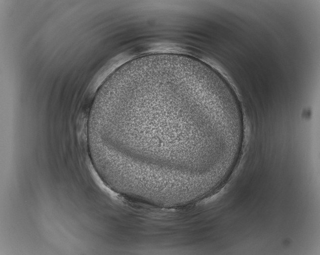 X0000111121049200907211046