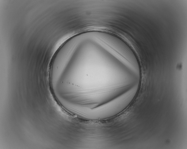 X0000111121050200907211046