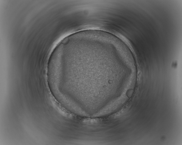 X0000111121051200907211046