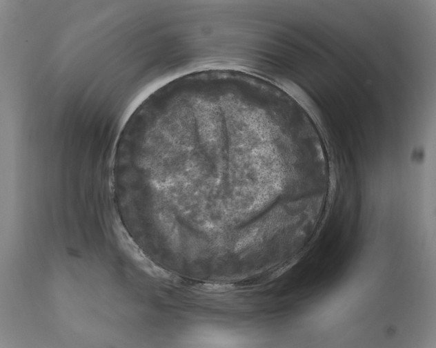 X0000111121052200907211046