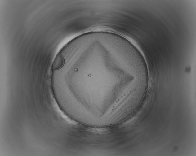 X0000111121053200907211046