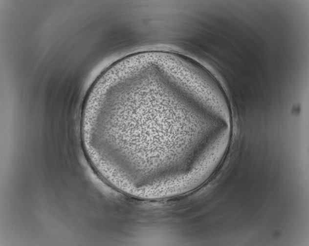 X0000111121054200907211046