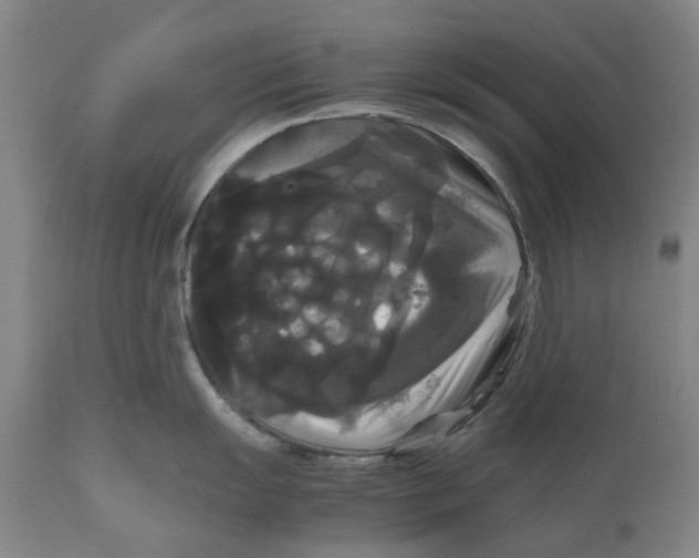 X0000111121055200907211046