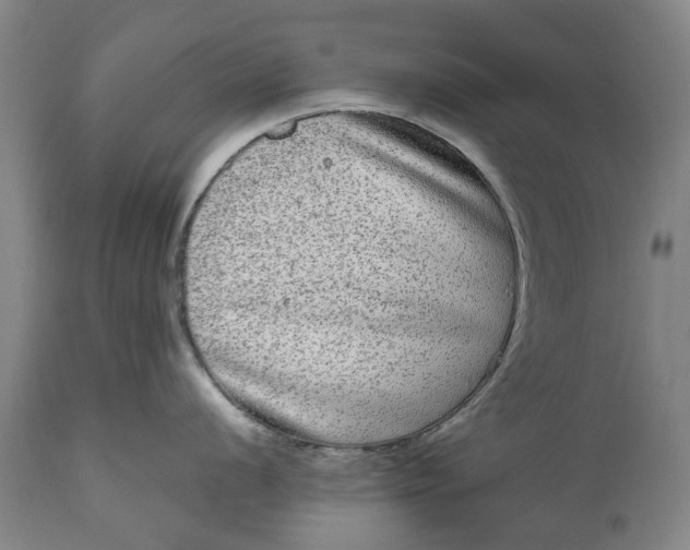 X0000111121056200907211046