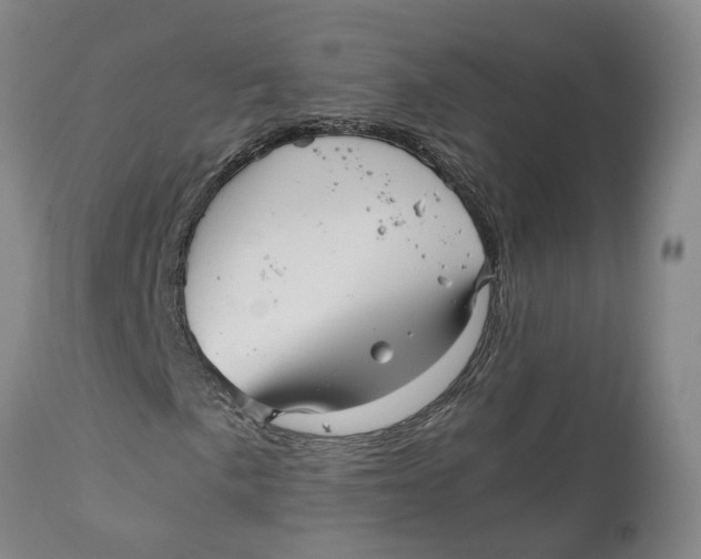 X0000111121057200907211045