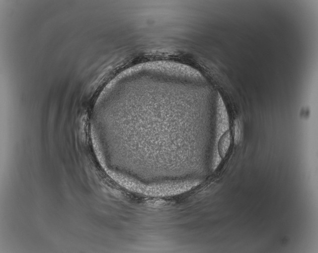 X0000111121059200907211045