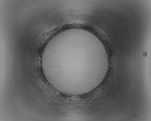 X0000111121061200907211045