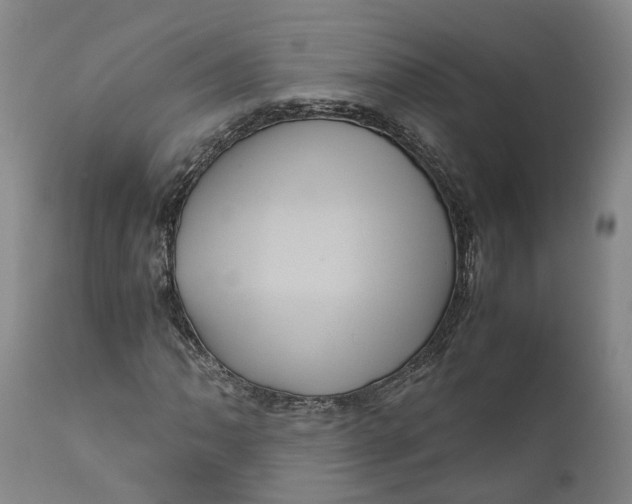 X0000111121062200907211045