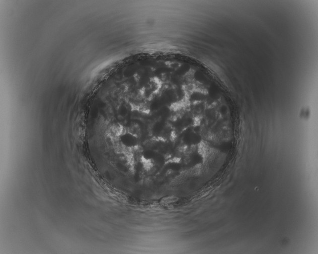 X0000111121063200907211045