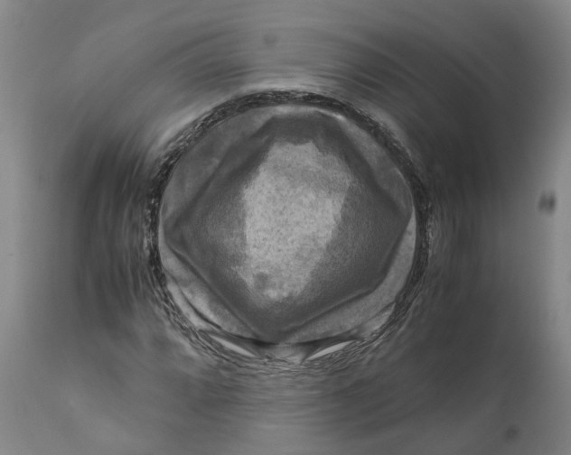 X0000111121064200907211045