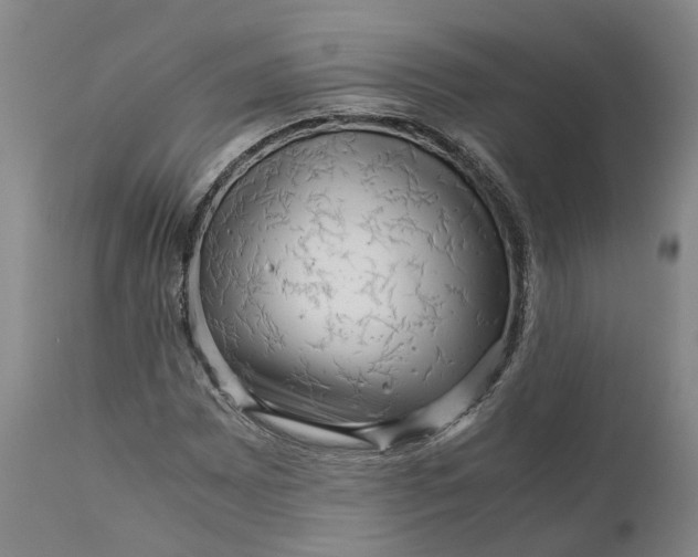 X0000111121065200907211045