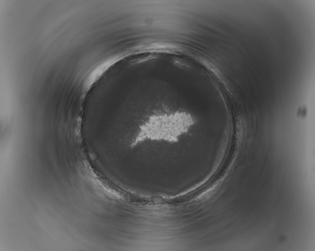 X0000111121066200907211045