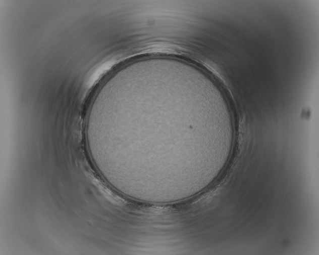 X0000111121067200907211045