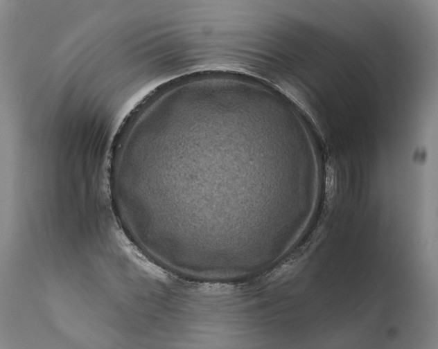 X0000111121068200907211045