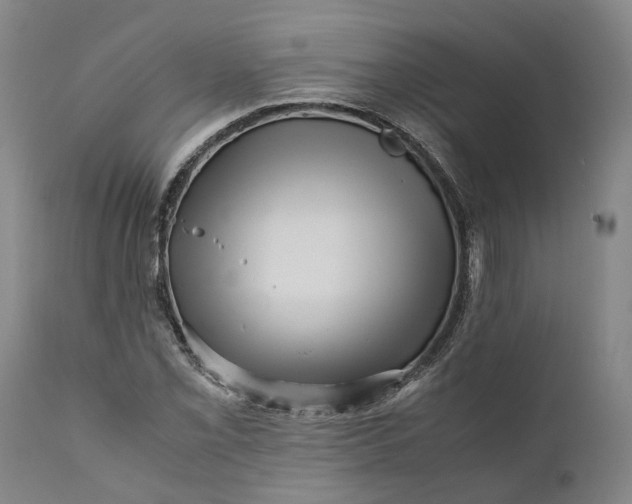 X0000111121069200907211045