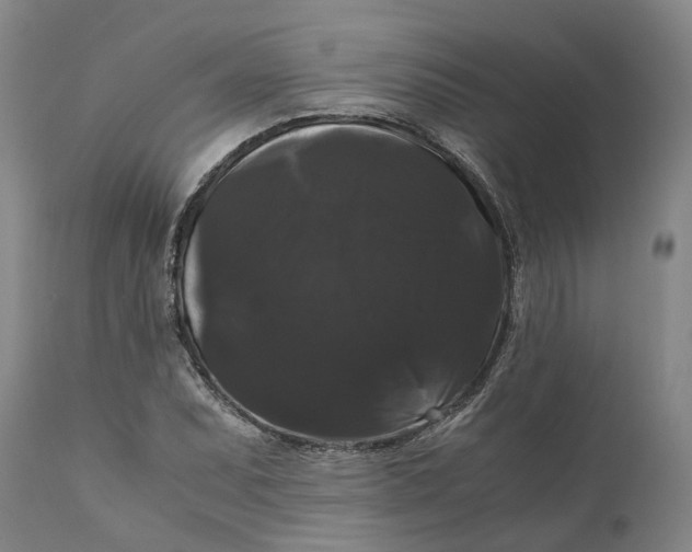 X0000111121071200907211045